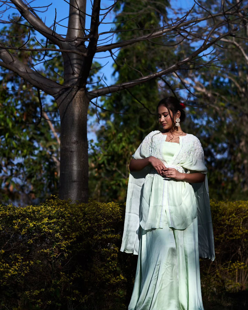 Pastel green Indowestern Dress